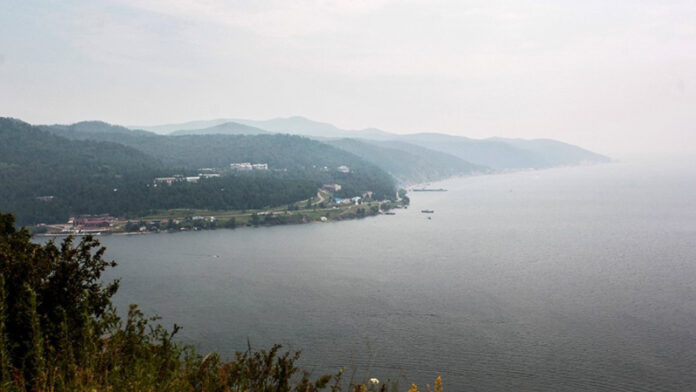 populjacija-omulja-nachala-vosstanavlivatsja-na-bajkale-b70358d