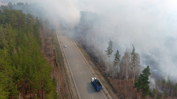 vse-lesnye-pozhary-likvidirovali-v-habarovskom-krae-2f4099a