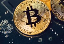 Exline.pro: ежедневный обменник валют