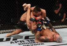 Последние новости спорта в мире MMA и UFS