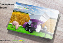 Где купить плющилку вальцовую Murska 1400 S2x2 Max