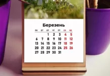 Рост пенсий, цен и тарифов и помощь бизнесу: что ждет украинцев в марте