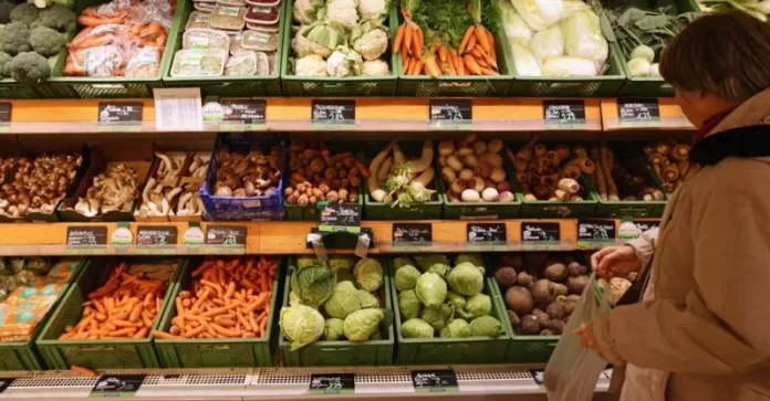 zolotye-ogurcy-i-morkovka-pochemu-dorozhajut-ovoshhi-v-evrope-032c51a