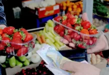 Цены на клубнику и черешню упадут в первые дни лета. А будут ли арбузы