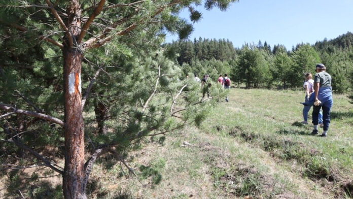 v-nacparke-zigalga-prolozhat-bolshuju-uralskuju-tropu-261e985