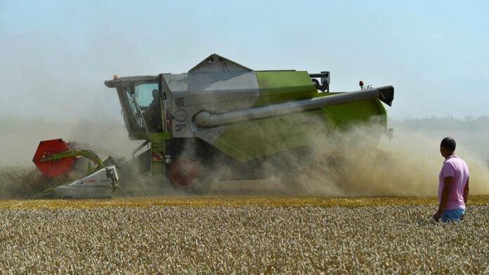 bolee-2-mln-t-zerna-namolotili-selhozproizvoditeli-v-krymu-b51063c
