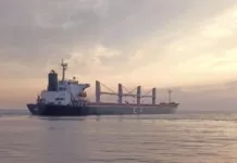 В Минразвития опровергли остановку «зернового коридора»