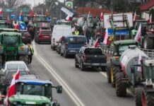 Польские фермеры продолжают блокаду трех пунктов пропуска, за сутки не пропустили ни одного грузовика