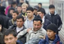 Отказаться от украинцев и ждать мигрантов: Какое будущее может ждать Украину