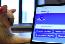 На Госуслугах появились электронные студенческие билеты