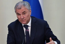Володин запустил опрос на фоне критики электронных дневников