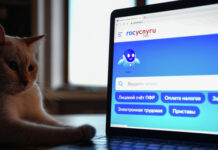 Россияне смогут узнать о регистрации «серых» SIM-карт на «Госуслугах» — Новости на Вести.ru
