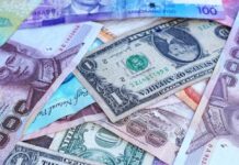 Курс валют на 25 июня: сколько стоят доллар, евро и злотый