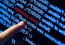 РКН: число DDoS-атак на информационную инфраструктуру РФ удвоилось за год — Новости на Вести.ru