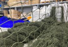 Маскировочная сетка: особенности, применение и преимущества