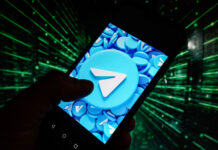 Немкин: Telegram — иностранный сервис, потому не может быть в «белом списке» — Новости на Вести.ru