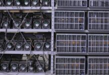 В Забайкалье пресекли работу майнинговой фермы с ущербом 5 миллионов рублей — Новости на Вести.ru