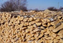 Купить сухие дрова: как выбрать качественное топливо для отопления