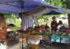 Овощи подешевеют, фрукты не особо: что будет с ценами на продукты в середине лета