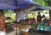 Овощи подешевеют, фрукты не особо: что будет с ценами на продукты в середине лета