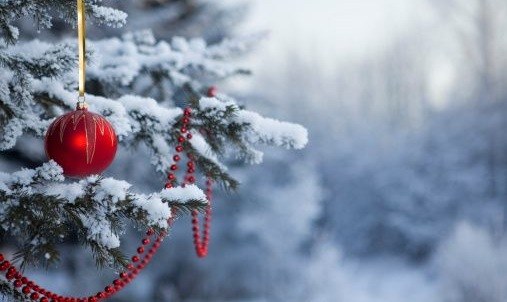 Как встретить Новый год в лесу