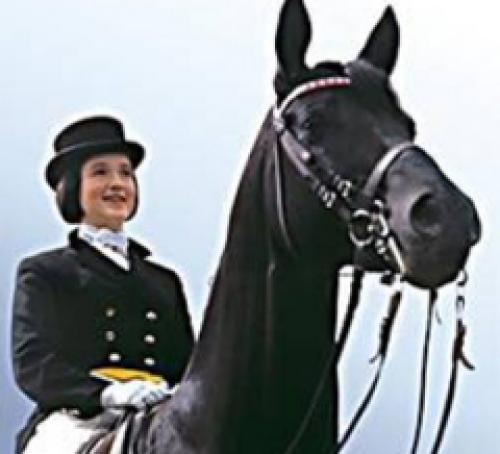 Елена Петушкова