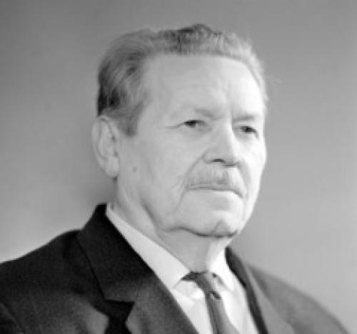 Николай Цицин