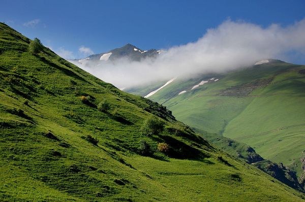 Как проходит Фестиваль Кадыгра в Турции